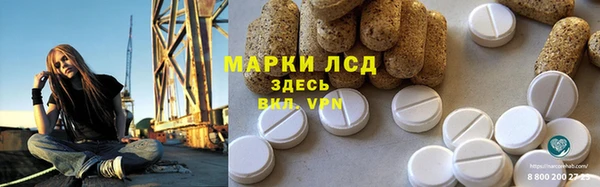ГАЛЛЮЦИНОГЕННЫЕ ГРИБЫ Инсар