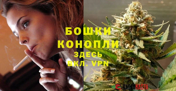 ГАЛЛЮЦИНОГЕННЫЕ ГРИБЫ Инсар