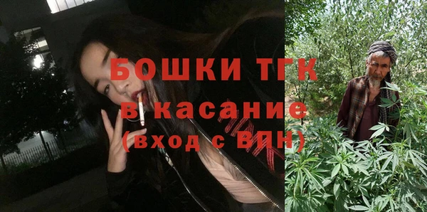 гидра Карпинск