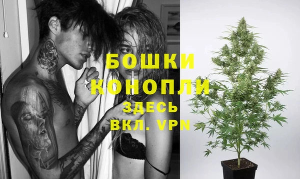 гидра Карпинск