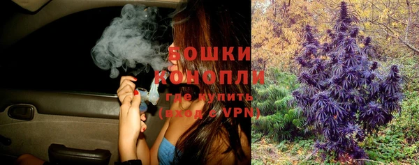 мяу мяу кристалл Иннополис