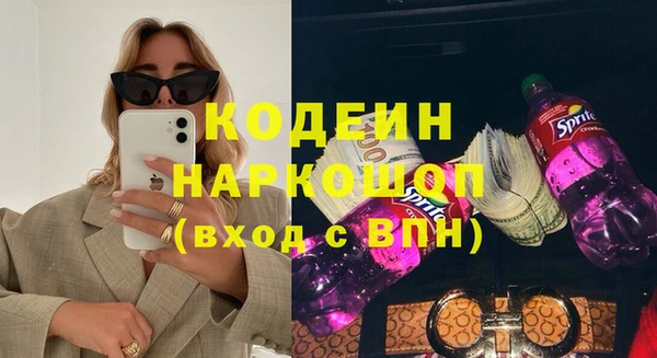ГАЛЛЮЦИНОГЕННЫЕ ГРИБЫ Инсар