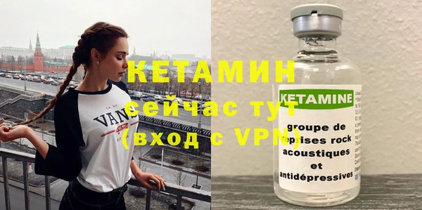 ГАЛЛЮЦИНОГЕННЫЕ ГРИБЫ Инсар