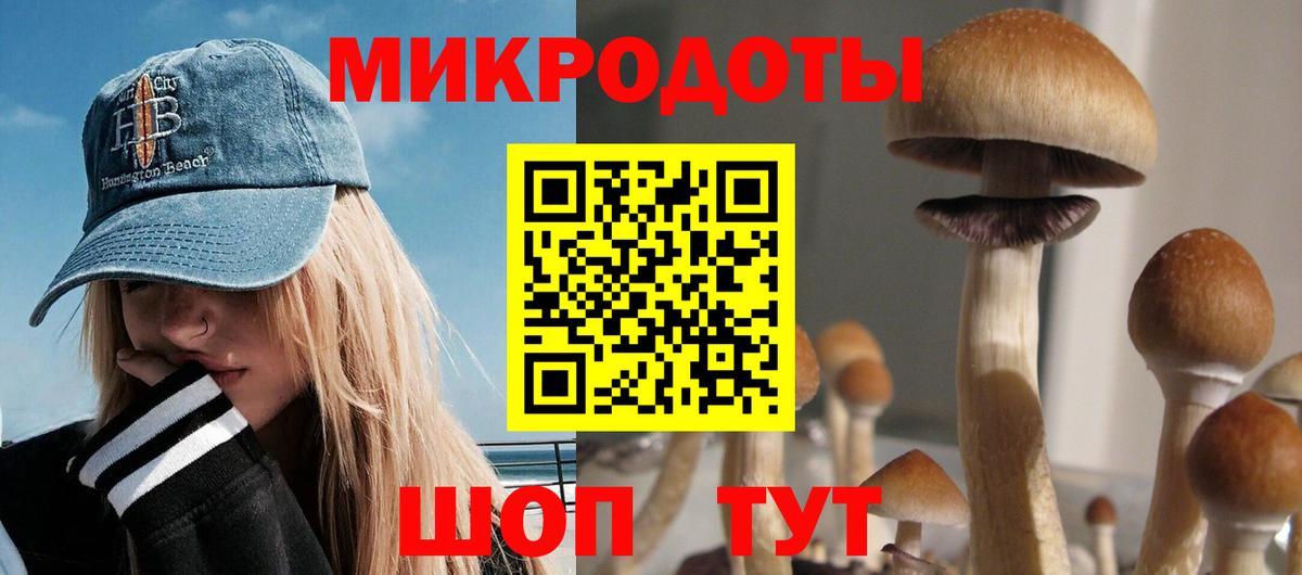 Псилоцибиновые грибы GOLDEN TEACHER Клинцы
