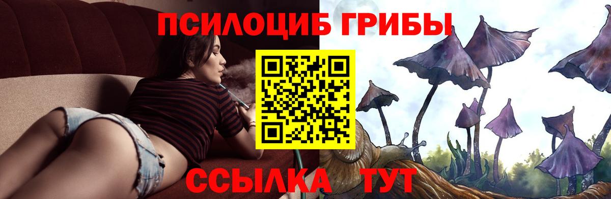 Клинцы  Галлюциногенные грибы MAGIC MUSHROOMS  Псилоцибиновые грибы Psilocybe  Вход с VPN 